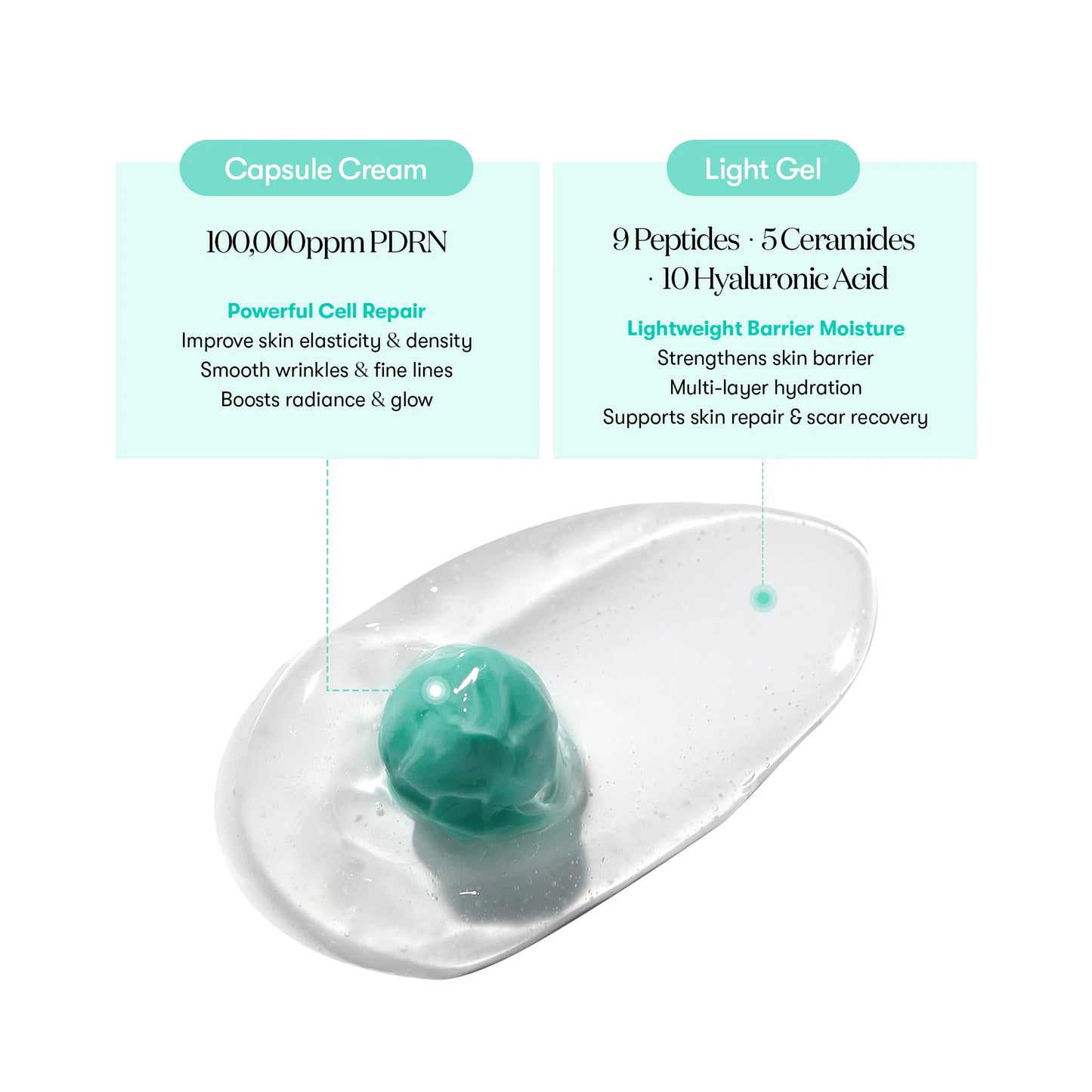 PDRN Capsule Cream | Deep Hydration & Skin Barrier Support Moisturizer